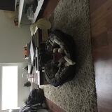 Foto van Ida&Kees