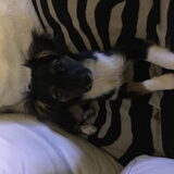 Foto van Ida&Kees