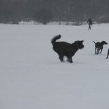 Heerlijkkk dat spelen in de sneeuw