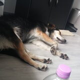 Foto van Rosanja