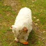 Foto van Heleen