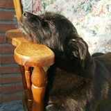 Foto van ...it's Jess!