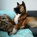 Foto van Jackie en Kiba:)