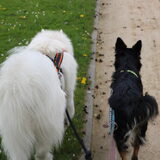 Foto van Team Black & White