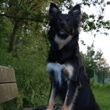 Foto van Team Black & White
