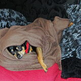 Foto van Marga en de honden Balou R.I.P., Lotus en kat Nemo.