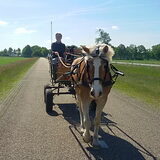 Foto van Ciska en Spanjaardje Moh (Bambi r.i.p.)