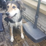 Foto van Rosanja
