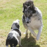 Foto van Angelique; Bruno, Charlie & Fenna
