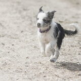 Foto van Angelique; Bruno, Charlie & Fenna