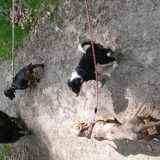 Foto van Angelique, Kleine Maybe en Tess <3