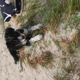 Foto van Angelique, Kleine Maybe en Tess <3