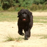 Luna 5 maanden