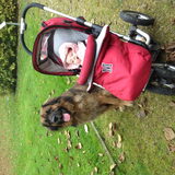 Foto van Saskia & Duke