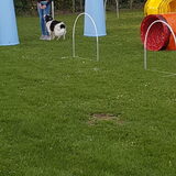 Foto van Angelique; Bruno, Charlie & Fenna