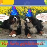 Foto van Anna