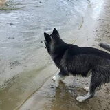 Foto van Vicky