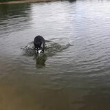 Foto van Vicky