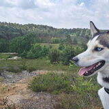 Foto van Lavina
