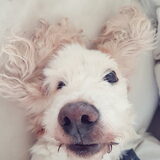 Foto van esther
