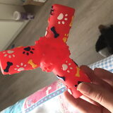 Foto van Lisa; Bobbie, Bentley & Lilly