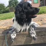 Foto van Doortje & Tibbe