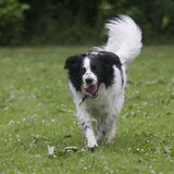 Foto van Angelique; Bruno, Charlie & Fenna