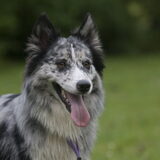 Foto van Angelique; Bruno, Charlie & Fenna