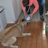 Foto van boyca en chico