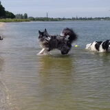 Foto van Angelique; Bruno, Charlie & Fenna