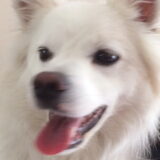 Foto van anja met Bobby(r.i.p. 25-9-25)
