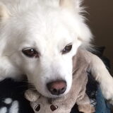 Foto van anja met Bobby(r.i.p. 25-9-25)