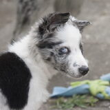 Foto van Angelique; Bruno, Charlie & Fenna