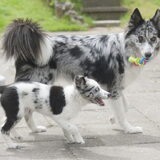 Foto van Angelique; Bruno, Charlie & Fenna
