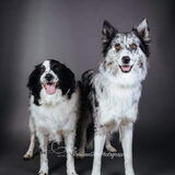 Foto van Angelique; Bruno, Charlie & Fenna