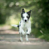 Foto van Angelique; Bruno, Charlie & Fenna