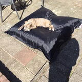 Weer broer van Spike nu ouder
