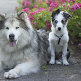 Foto van Angelique; Bruno, Charlie & Fenna