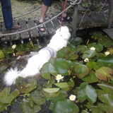 Foto van annette & de boefjes