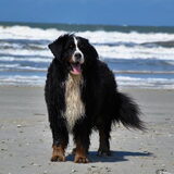 Foto van Anna