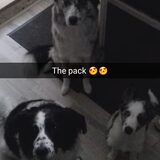 Foto van Angelique; Bruno, Charlie & Fenna