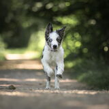 Foto van Angelique; Bruno, Charlie & Fenna