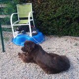 Foto van Jeanine :)