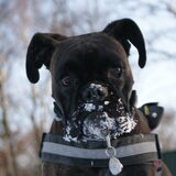 Kiara het sneeuw-monster