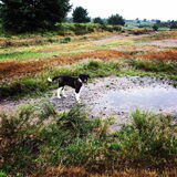 Foto van Jessica