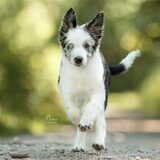 Foto van Angelique; Bruno, Charlie & Fenna
