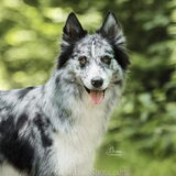 Foto van Angelique; Bruno, Charlie & Fenna