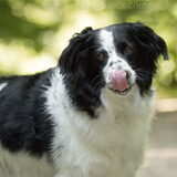 Foto van Angelique; Bruno, Charlie & Fenna