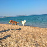 Foto van Nicole & Kayla