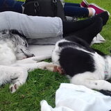 Foto van Angelique; Bruno, Charlie & Fenna